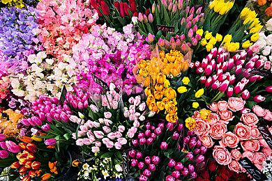 《灵魂骇客2》公布角色Arrow预告 游戏8月25日发售