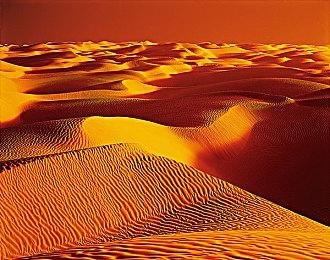 《光环》原创意总监有望回归Halo Studios